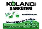 KOLANCI ŞARKÜTERİ