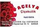 AÇELYA ÇİÇEKCİLİK